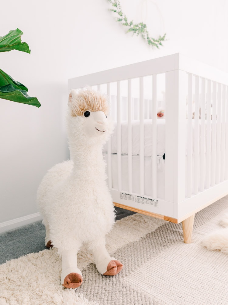 Lama Theme Modern Nursery Decor on a Budget, photography by Juliana Kaderbek Photography, Cleveland newborn photographer