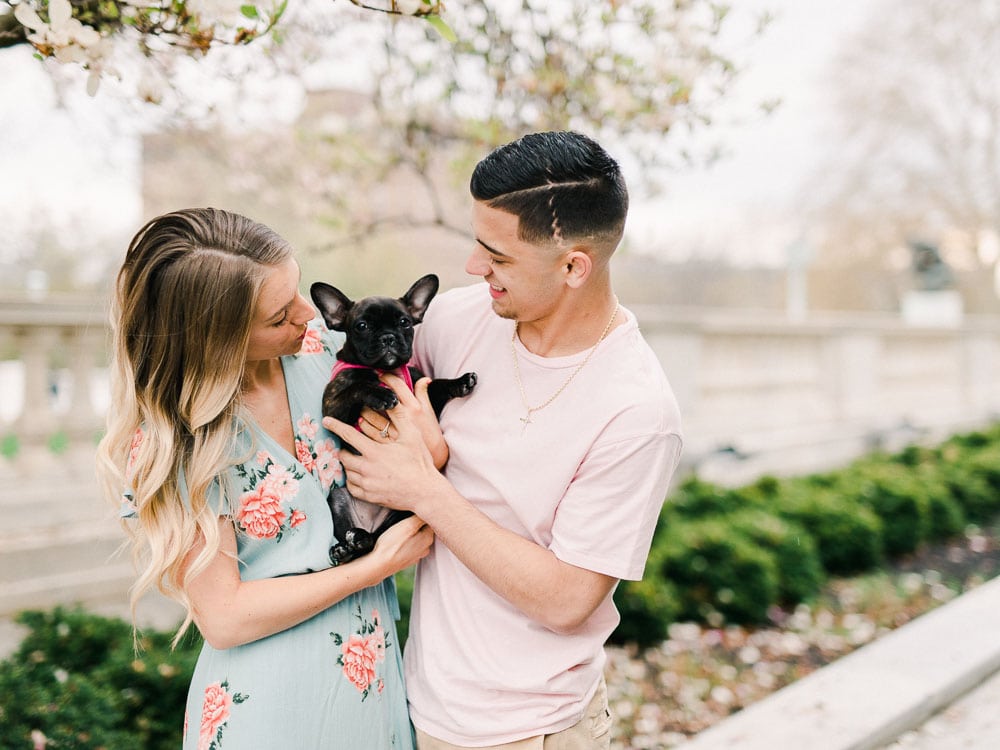 Cleveland Engagement Photography with puppy at Cleveland Museum of Art by Juliana Kaderbek Photography, an award winning Cleveland Wedding Photographer