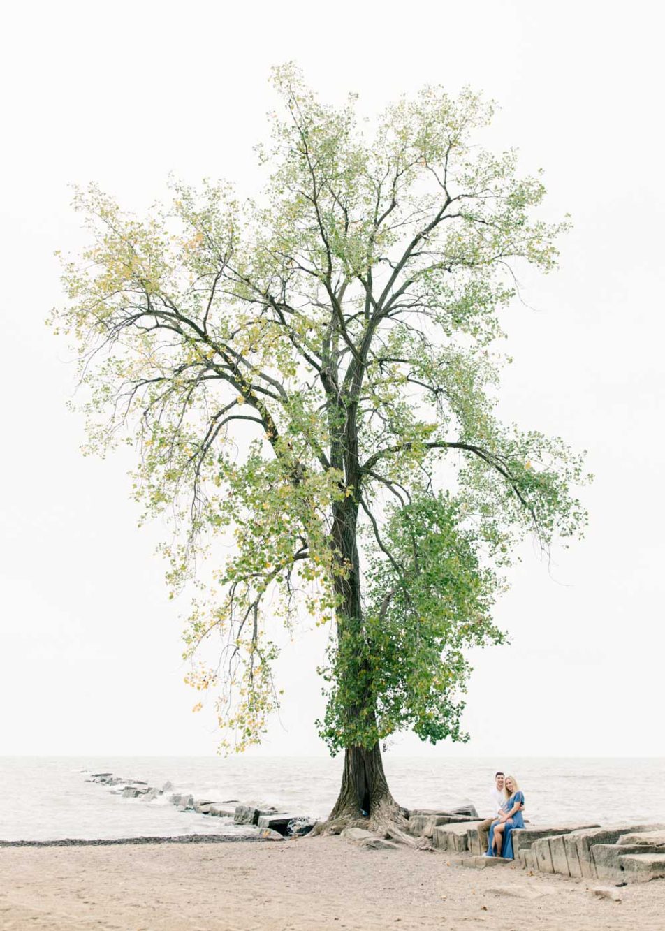 couple under the iconic tree at Huntington Beach in Cleveland Ohio 